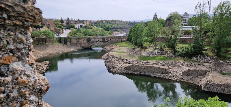 Residencia Marqués de Santillana — foto 9