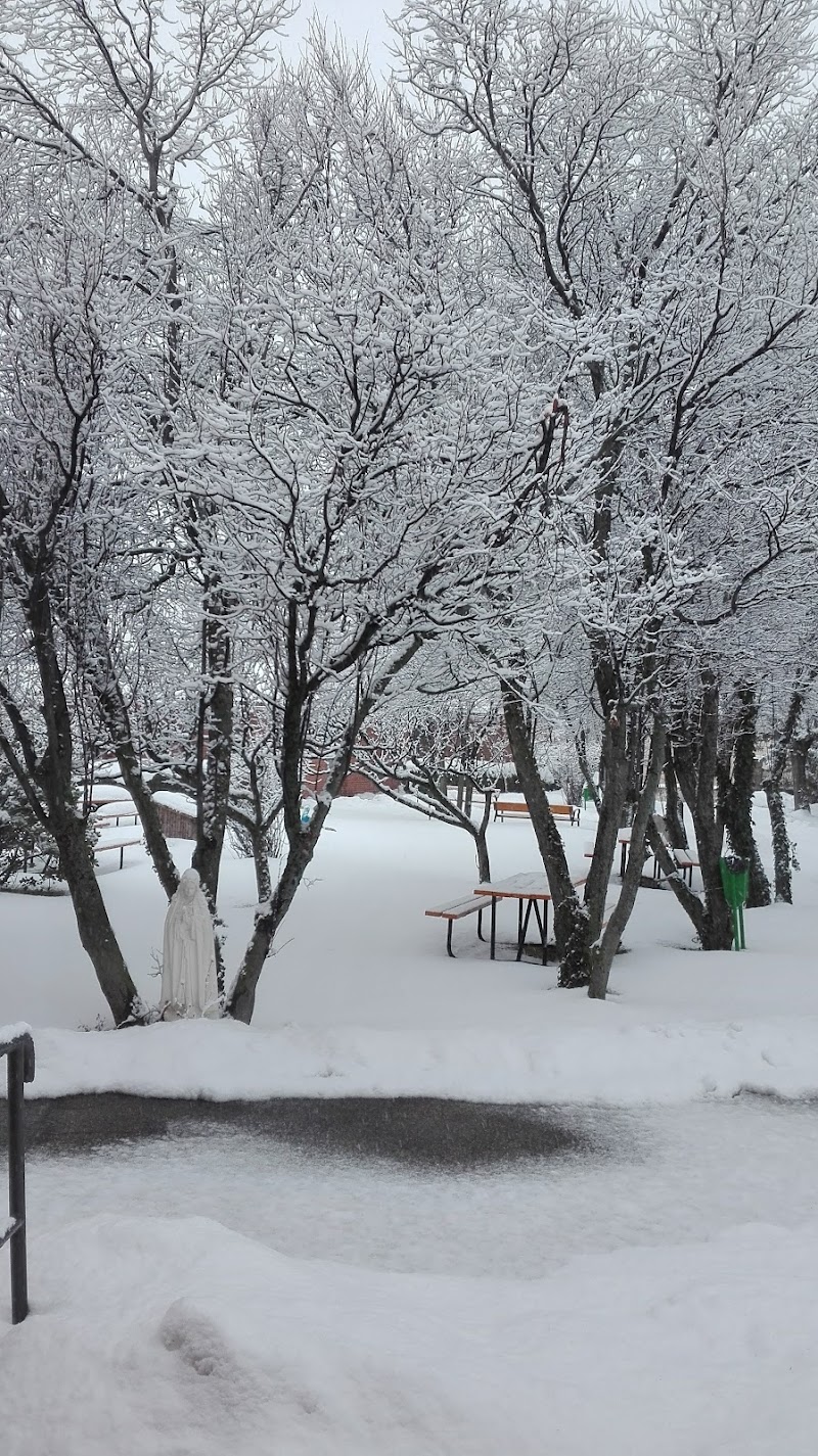 Asociación Amigos de la 3ª Edad El Concejo — foto 2