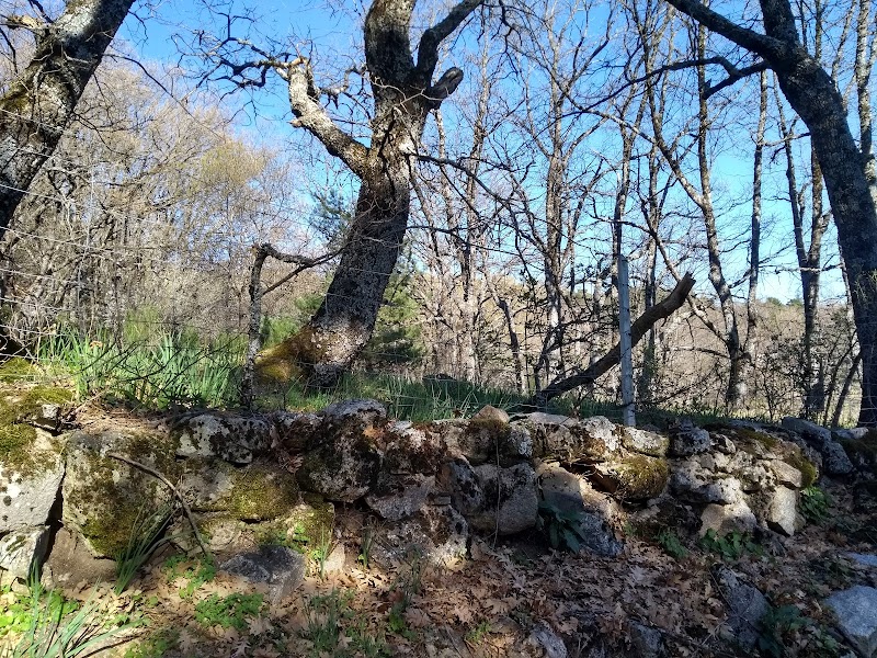 Residencia Montehermoso Camorritos — foto 5