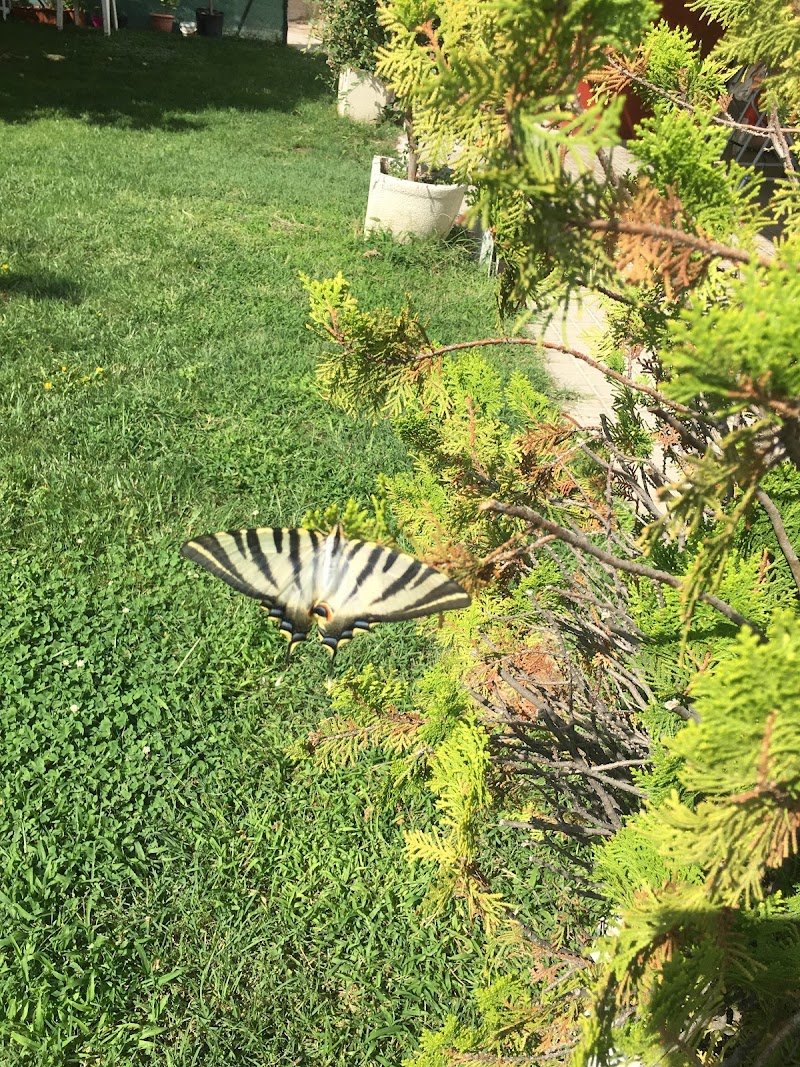 Residencia de Ancianos Palacios — foto 6