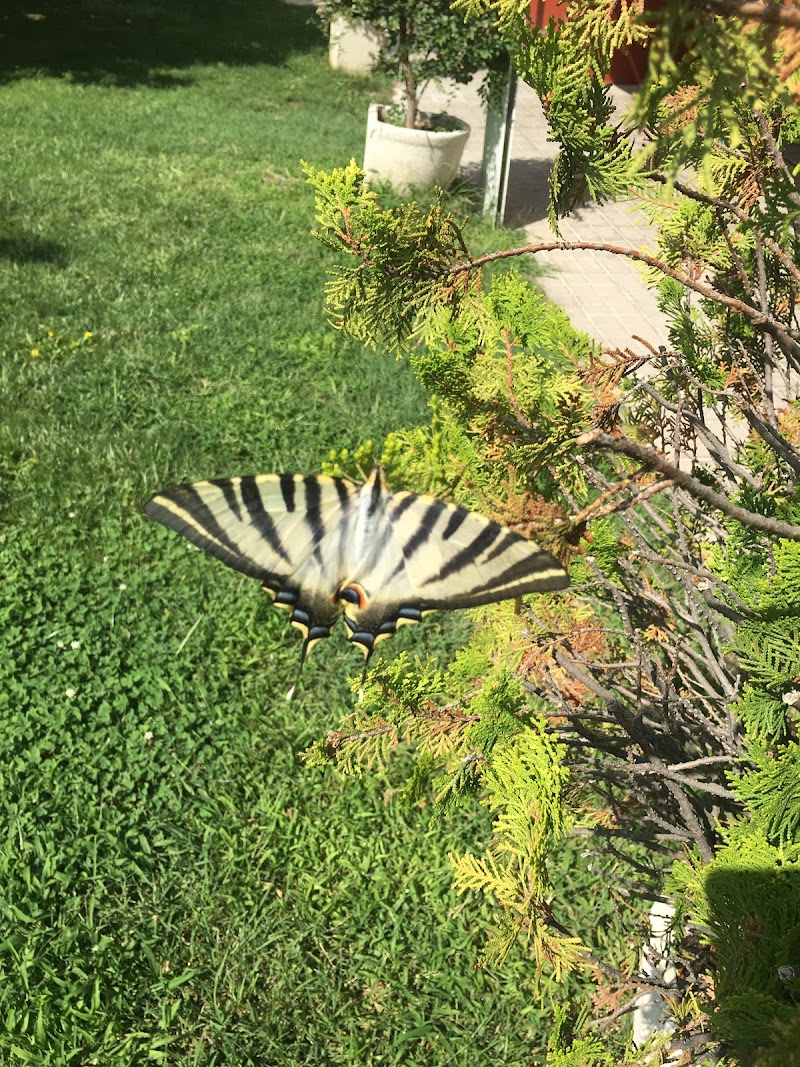 Residencia de Ancianos Palacios — foto 7