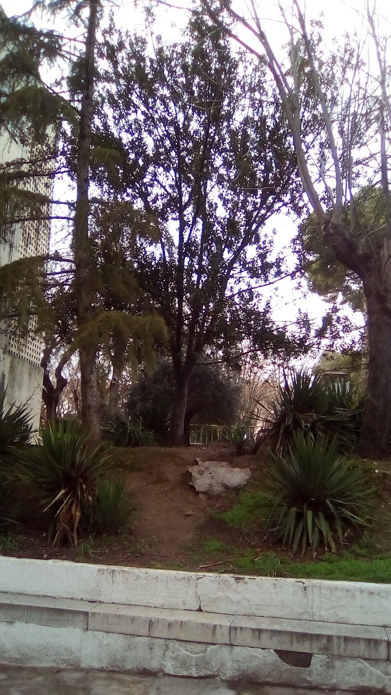 Residencia asistida de personas mayores - Complejo Asistencial Benito Menni — foto 9