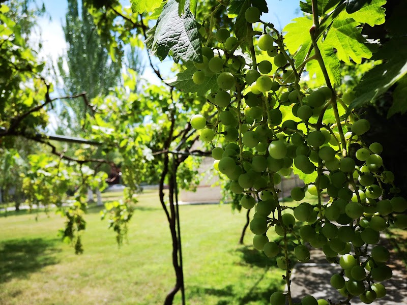 Residencia para Mayores Hidalgos Casaquinta — foto 7