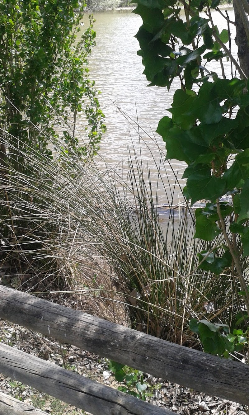 Cobeña Inarejos — foto 4