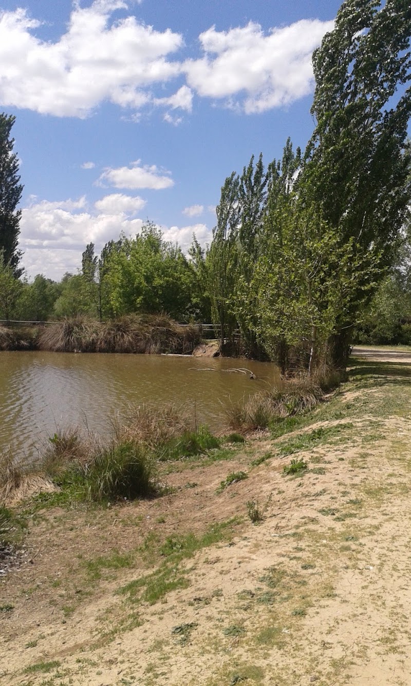 Cobeña Inarejos — foto 6