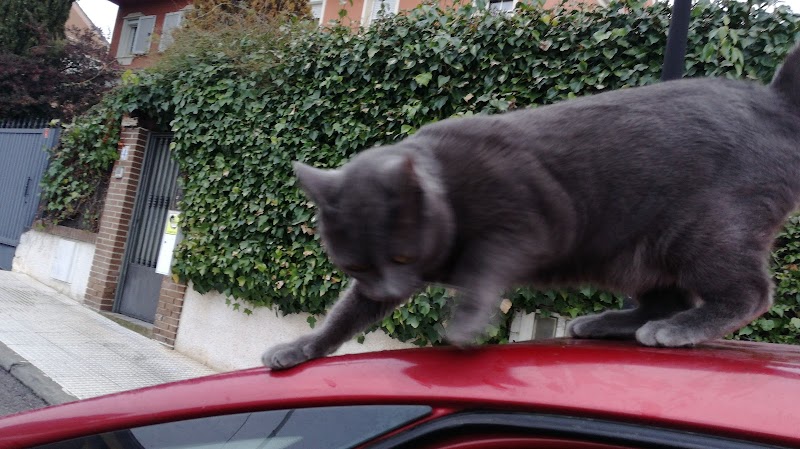 Cobeña Inarejos — foto 7