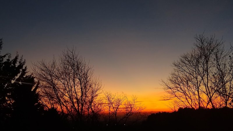 Cobeña Inarejos — foto 8