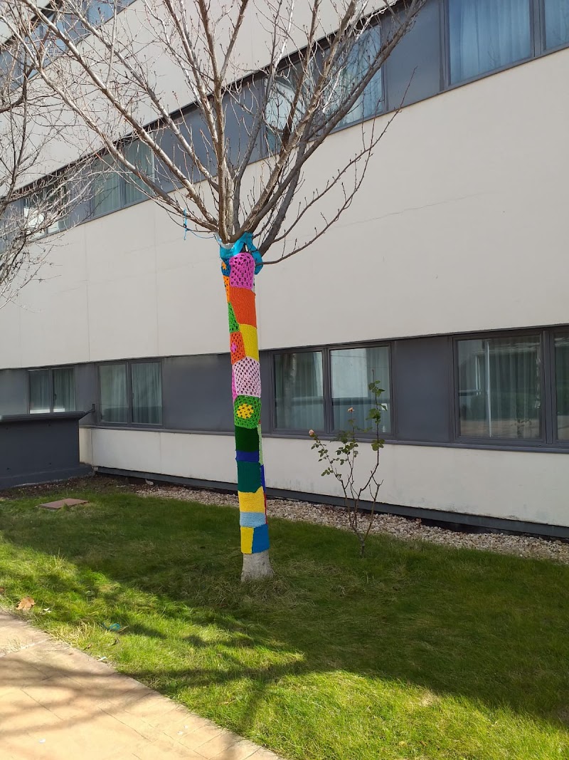 AMAVIR Coslada — foto 8