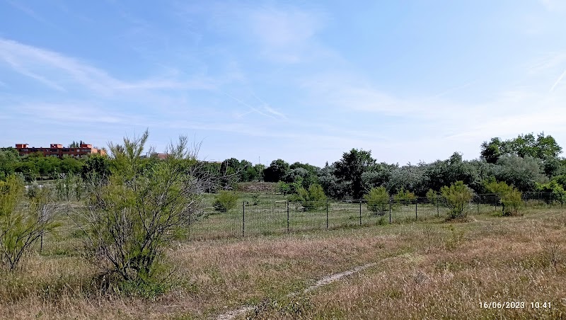 DomusVi Parque Coslada — foto 3