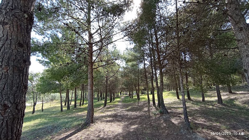 DomusVi Parque Coslada — foto 4