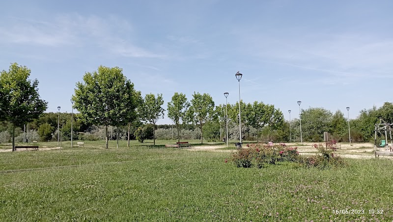 DomusVi Parque Coslada — foto 5