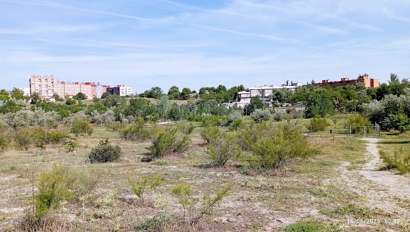 DomusVi Parque Coslada — foto 6