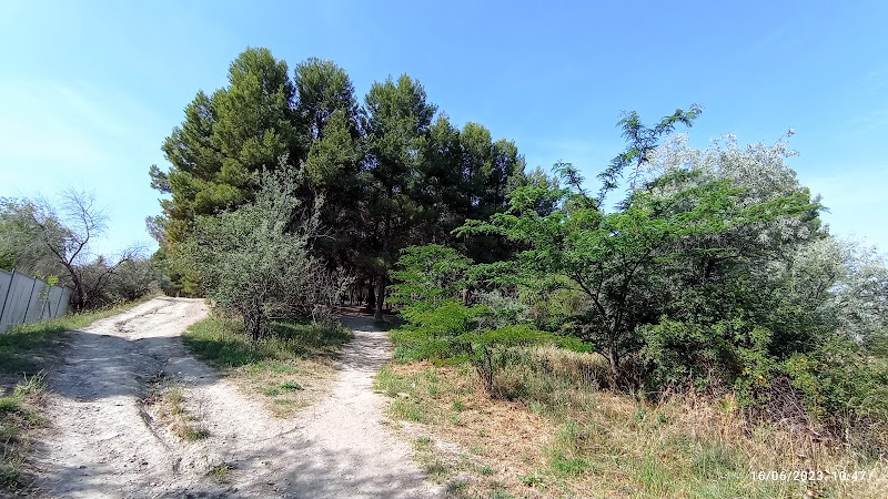 DomusVi Parque Coslada — foto 7