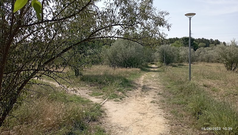 DomusVi Parque Coslada — foto 8