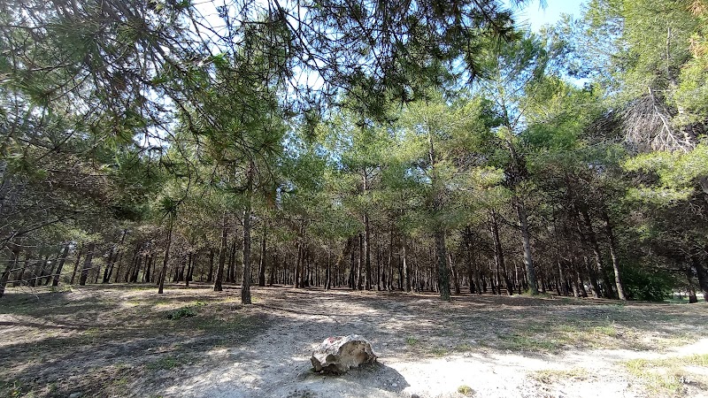 DomusVi Parque Coslada — foto 9