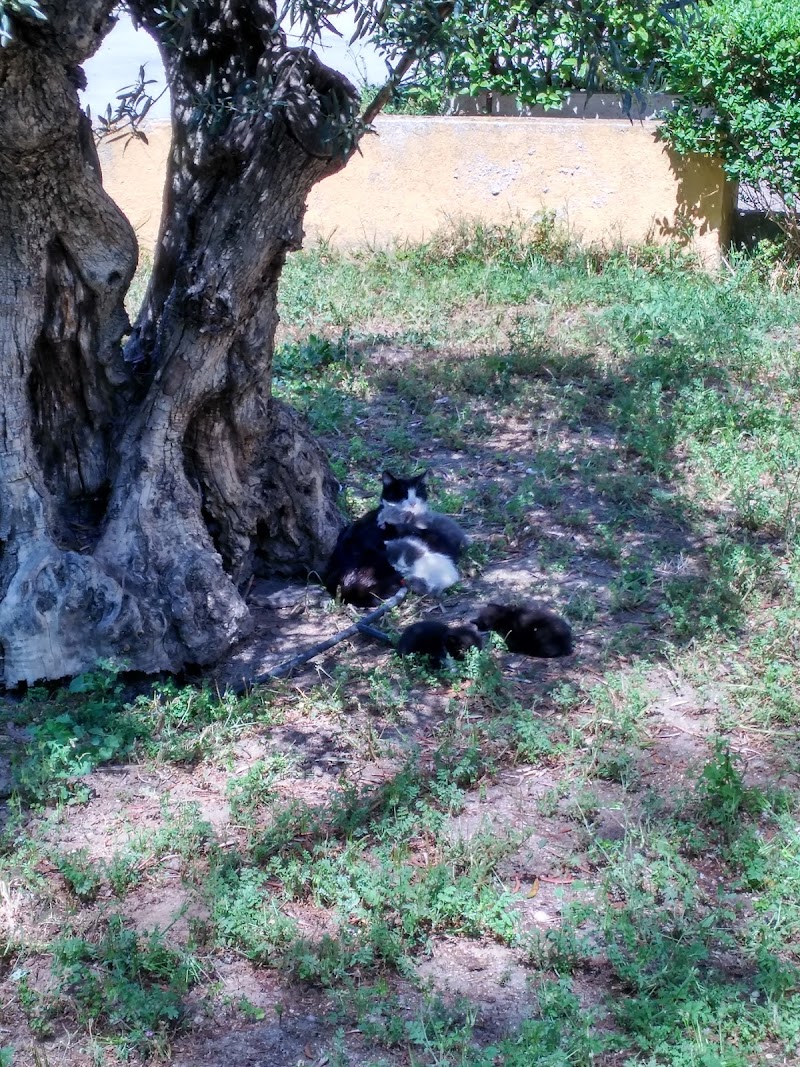 Residencia de personas mayores Santa María del Silencio - Cáritas — foto 2