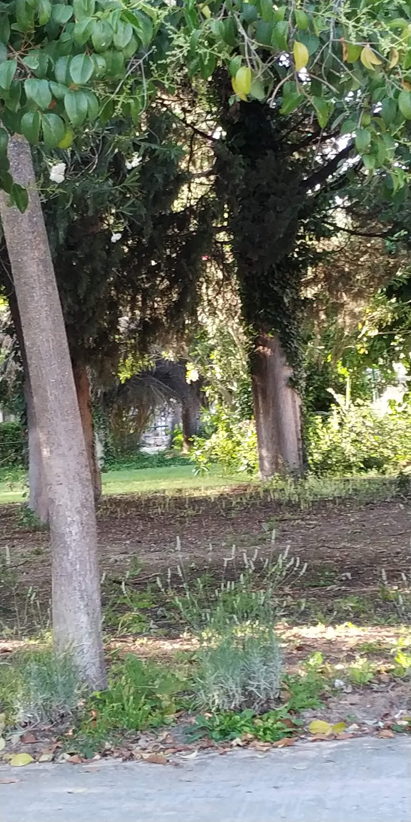 Residencia de personas mayores Santa María del Silencio - Cáritas — foto 5