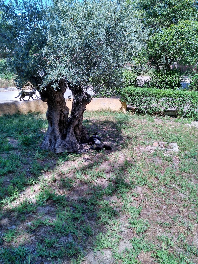 Residencia de personas mayores Santa María del Silencio - Cáritas — foto 6