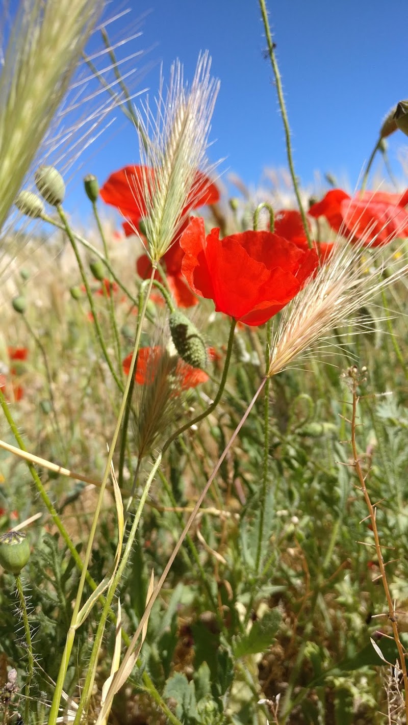 Residencia de personas mayores Santa María del Silencio - Cáritas — foto 7