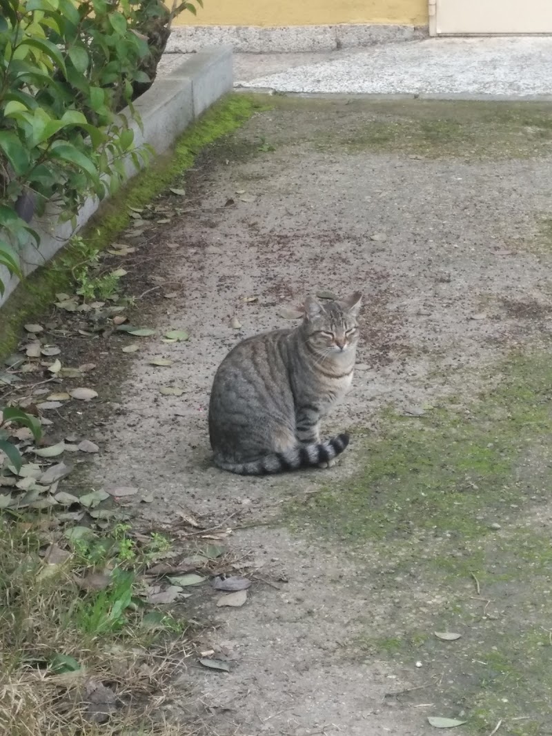 Residencia de personas mayores Santa María del Silencio - Cáritas — foto 9