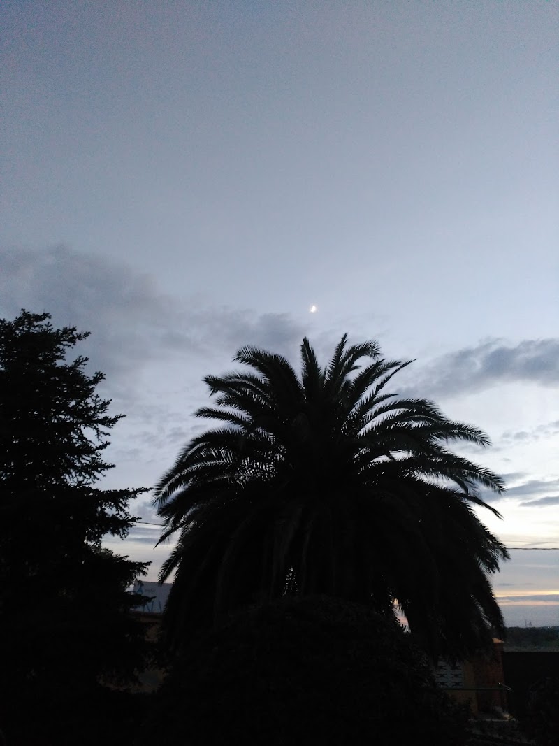 Residencia de personas mayores Santa María del Silencio - Cáritas — foto 10