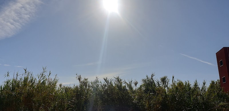 Orpea Estremera — foto 8