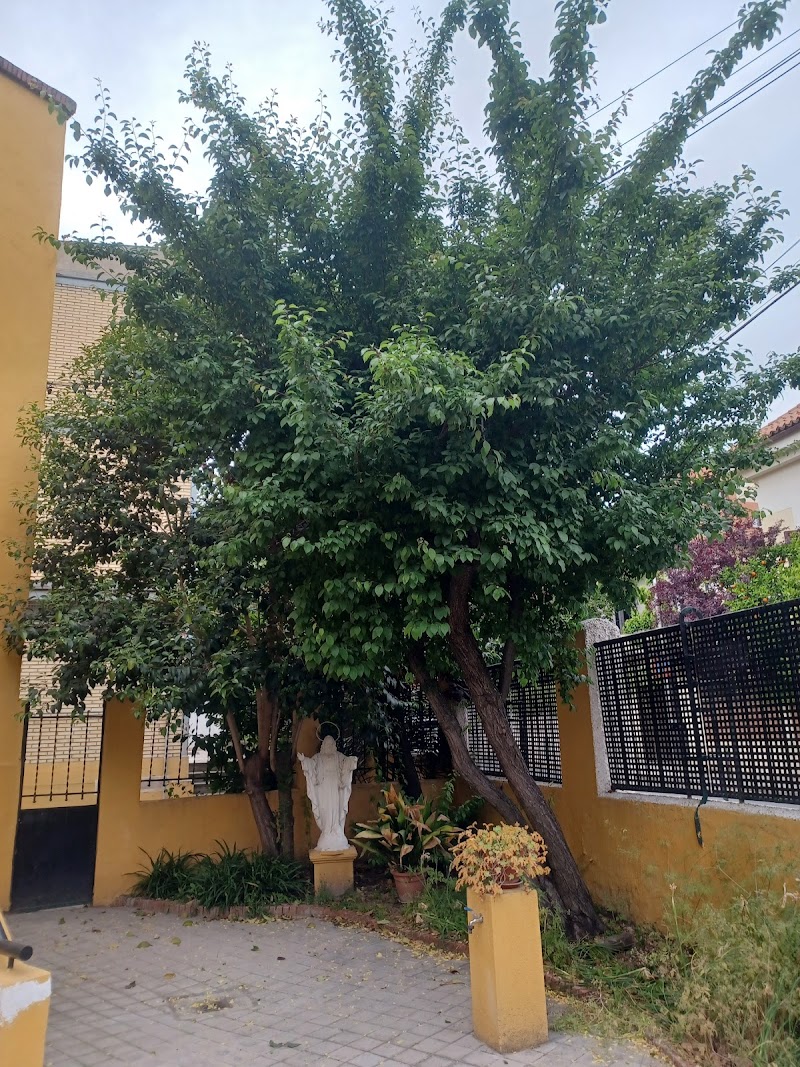 Residencia de 3ª edad Sagrada Familia — foto 6