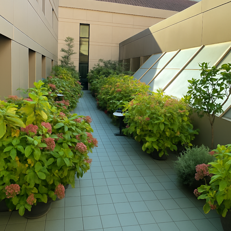 Ballesol Olavide — foto 7