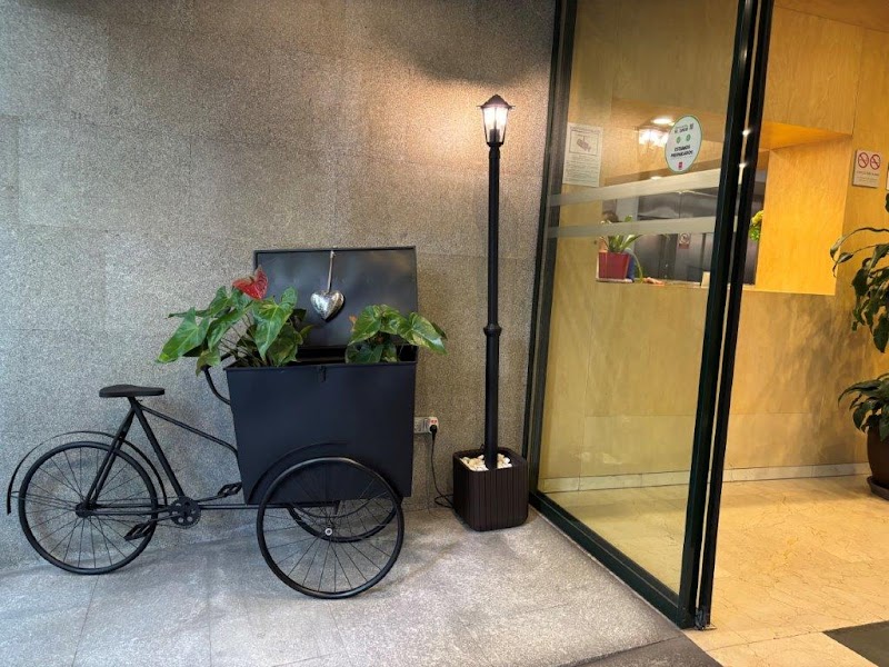 Ballesol Olavide — foto 10