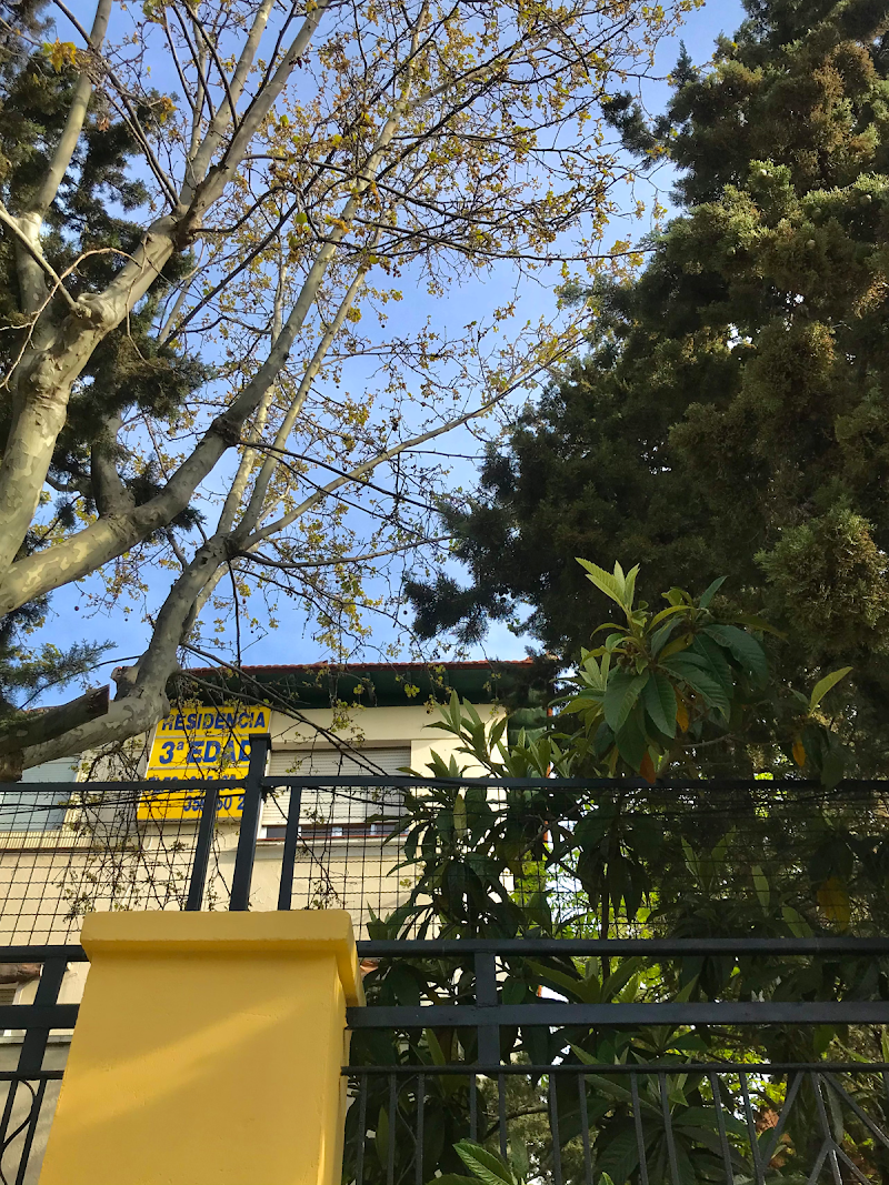 Residencia Abedul — foto 3