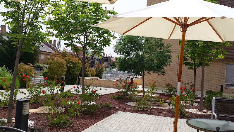 Orpea San Blas — foto 9