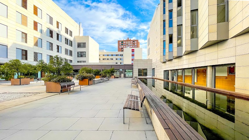 Albertia Moratalaz — foto 1