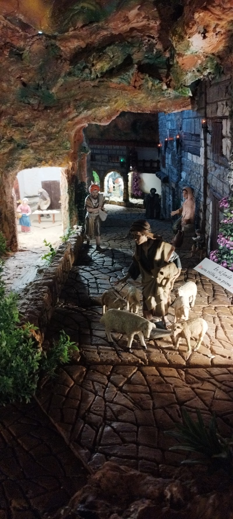 Hogar Santa Teresa Jornet — foto 6