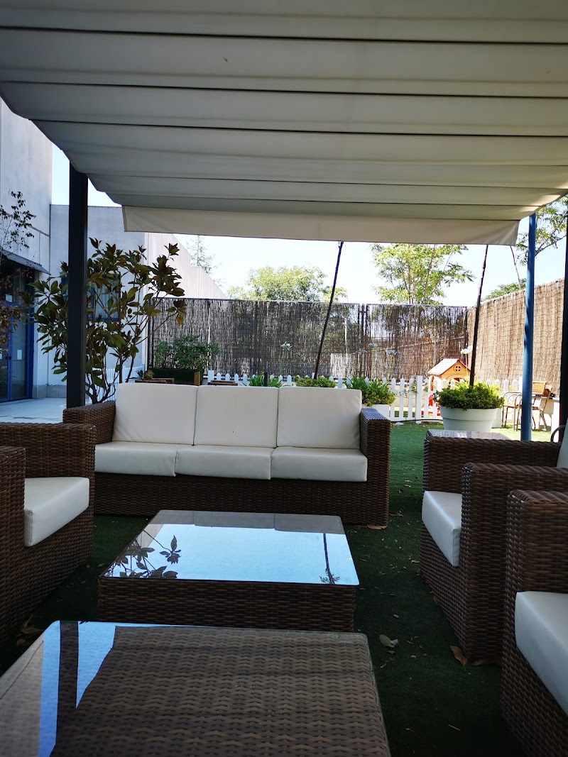 Ballesol Pasillo Verde — foto 8