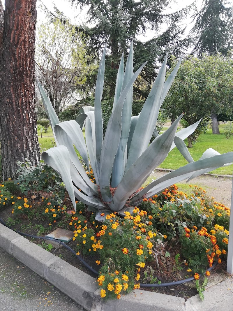 Residencia Casa San Luis Gonzaga - Los Almendros