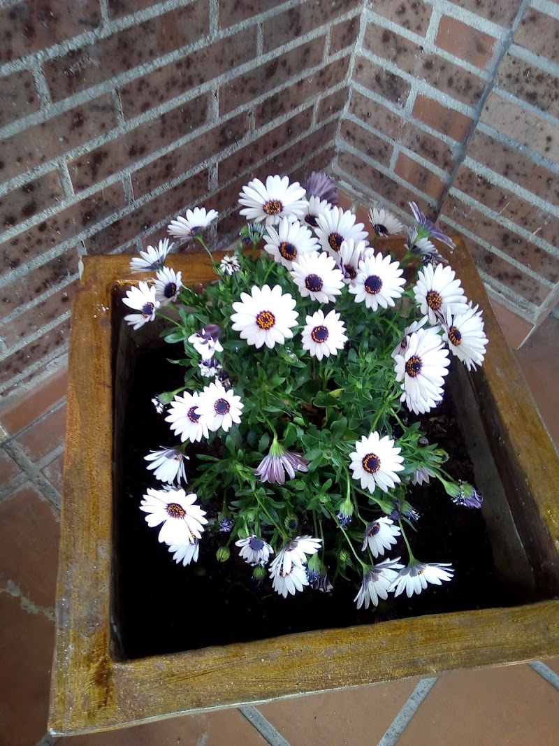 Orpea Meco — foto 10