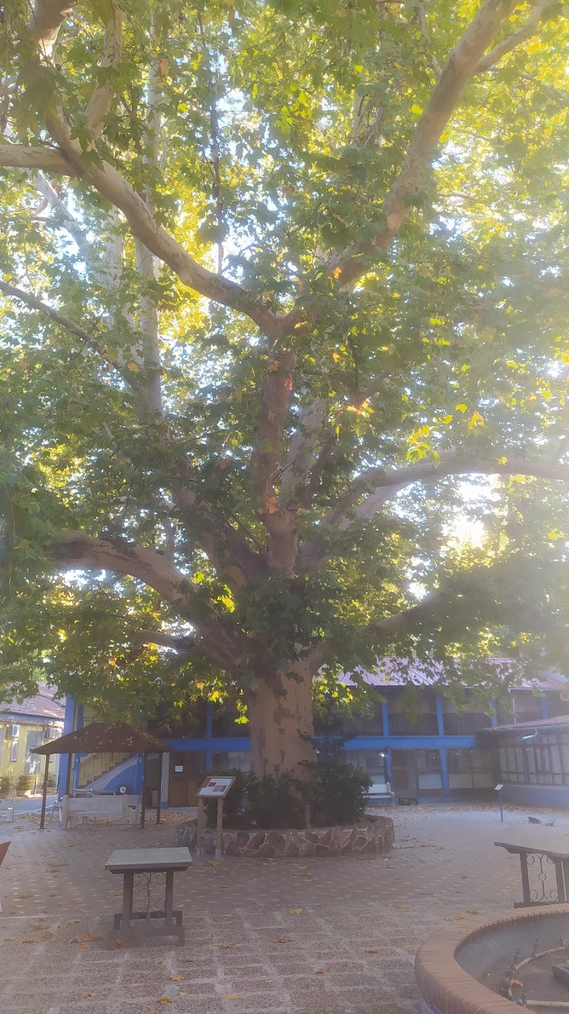 Residencia Isla de Taray — foto 1