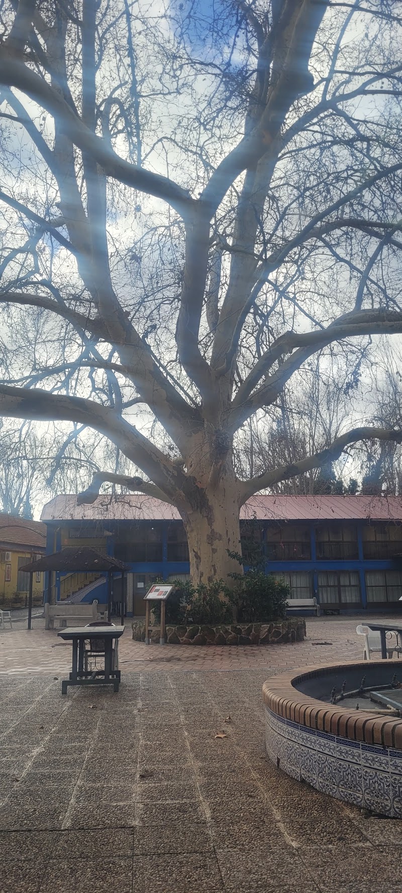 Residencia Isla de Taray — foto 3