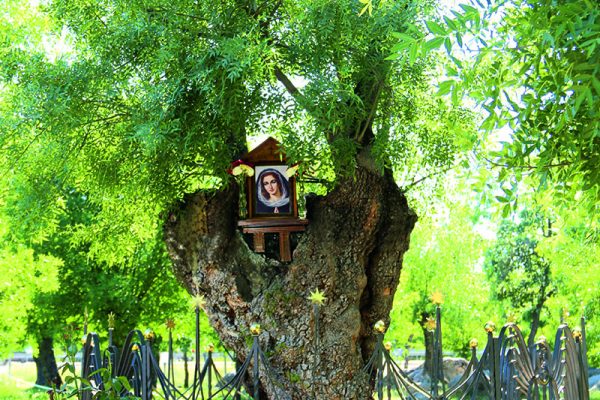 Residencia de 3ª edad - Asociación Rosas del Camino — foto 5