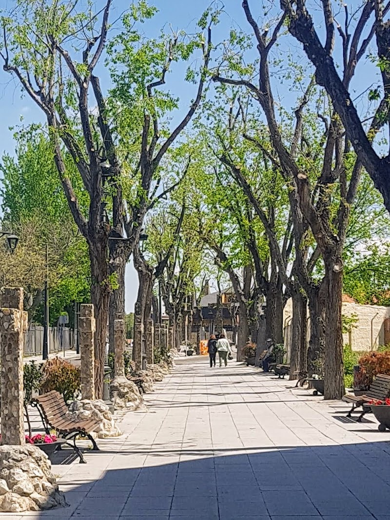 Residencia Nuestra Señora de la Soledad — foto 10