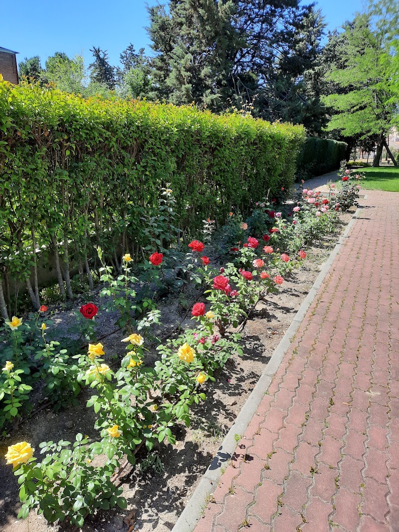 Fundación Catalina Labouré- Residencia San Diego y San Nicolás — foto 3