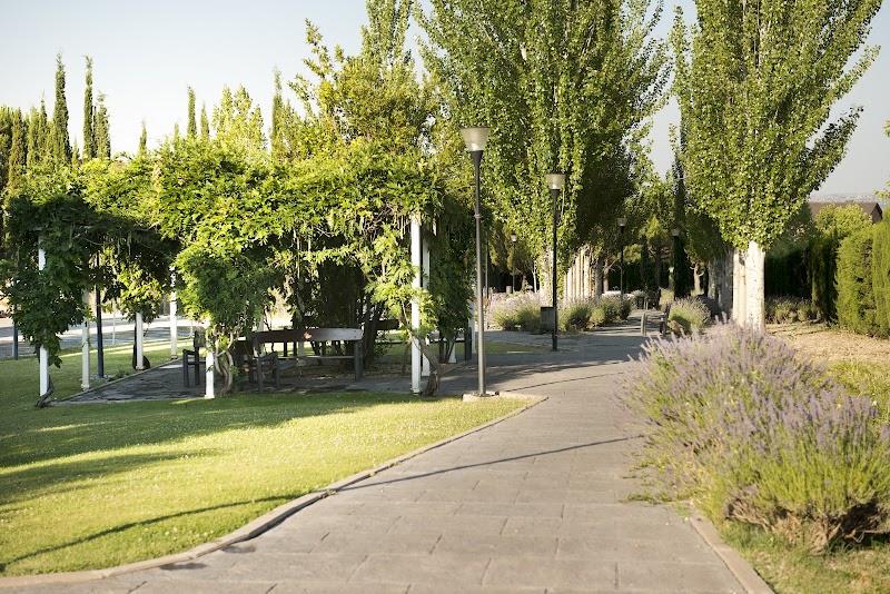 Orpea Punta Galea — foto 4