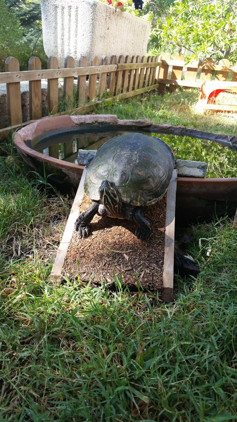 Residencia de ancianos María Leonor y Legado de los pobres Hernández Muriel — foto 7