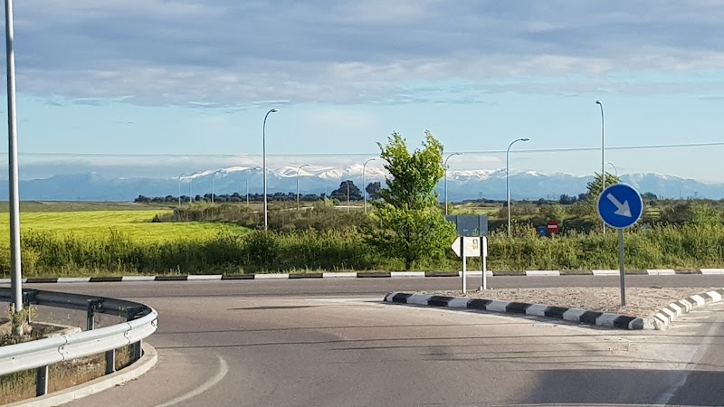 Las Mimosas — foto 6