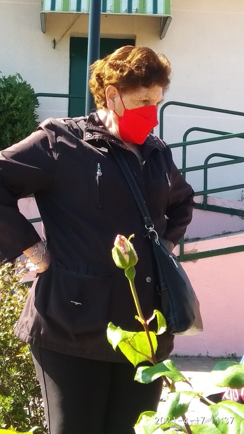 Las Mimosas — foto 9