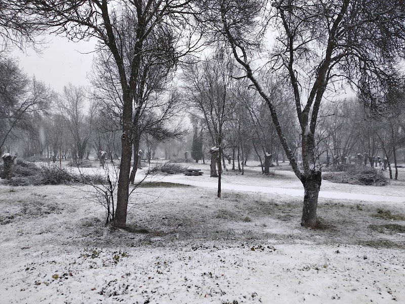 Residencia Soto Fresnos — foto 5