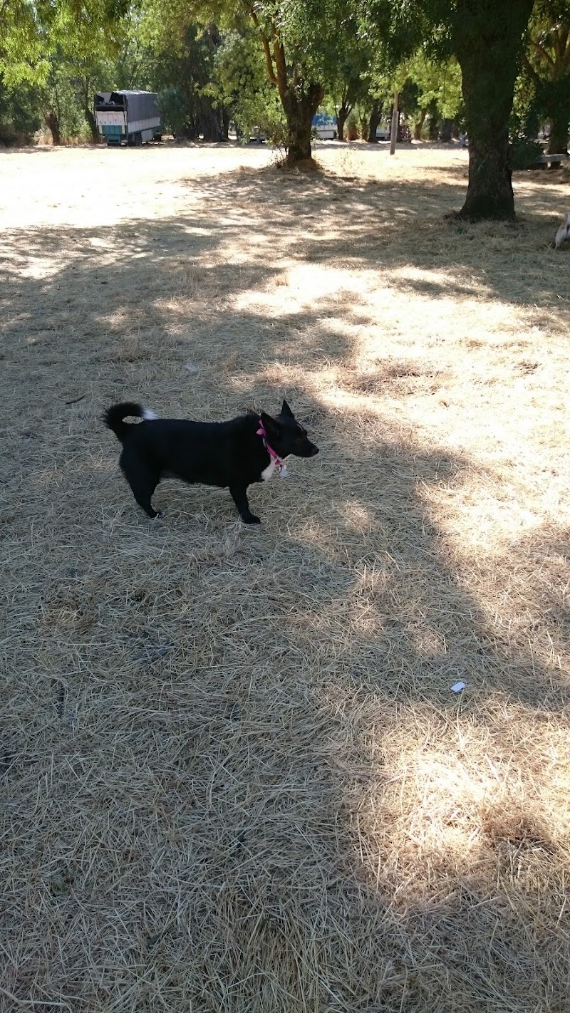 Residencia Soto Fresnos — foto 6