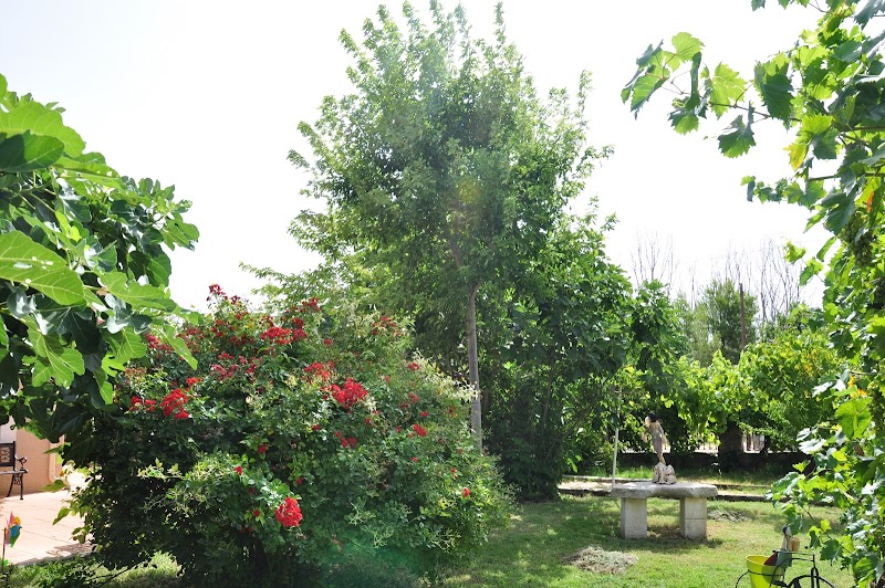 Residencia Santa Ana — foto 6