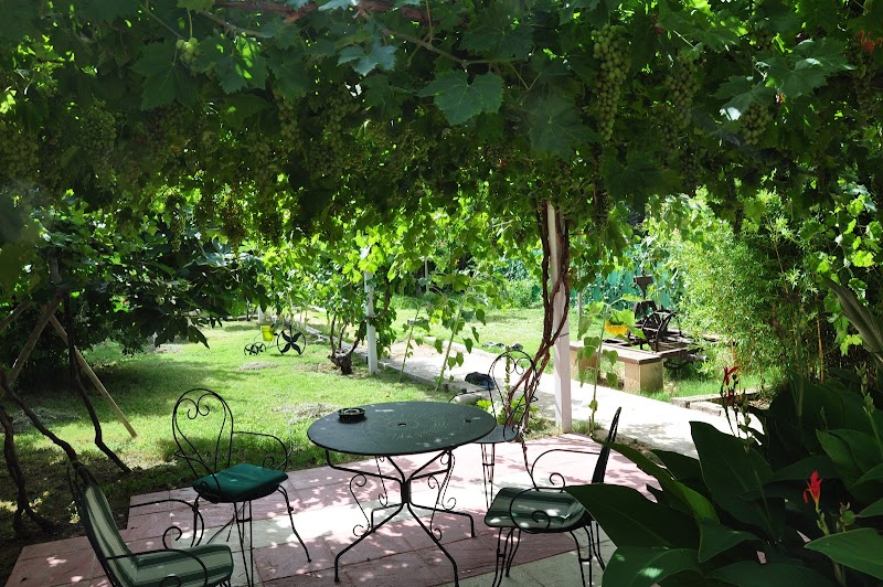 Residencia Santa Ana — foto 7