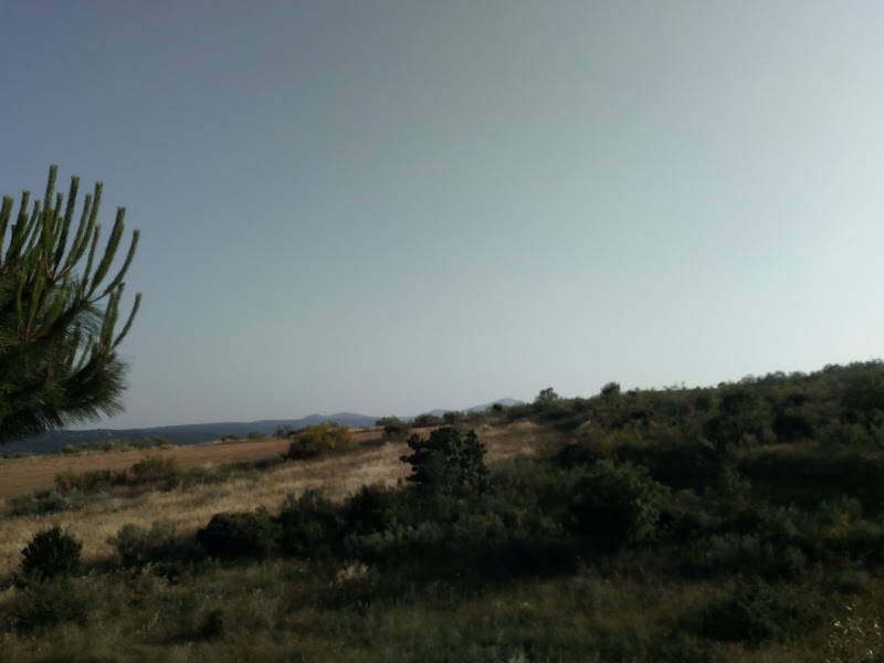 Residencia 3ª edad GERONTOS — foto 9